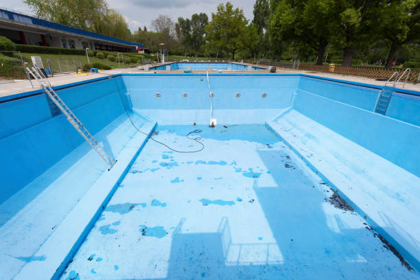 Best Mold removal after water damage  in Forest Heights, TX