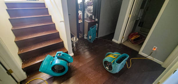 Best Water damage restoration near me  in Forest Heights, TX