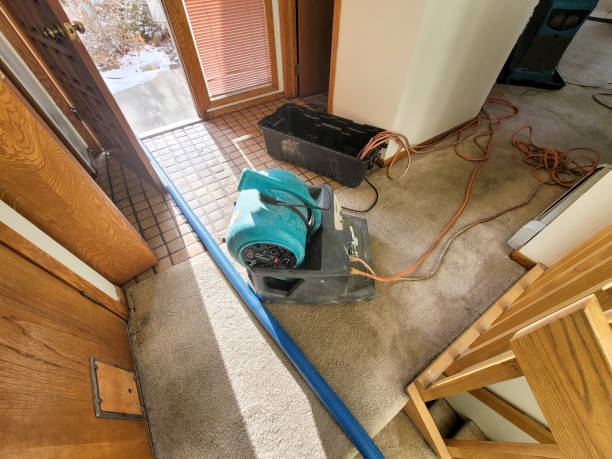 Best Flooded house restoration  in Forest Heights, TX