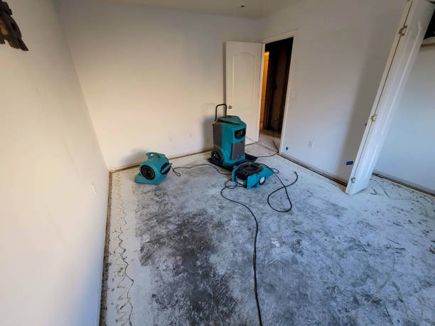 Best Water damage contractors near me  in Forest Heights, TX