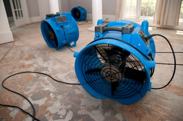 Best 24-hour water damage restoration  in Forest Heights, TX