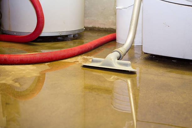 Best Water damage repair service  in Forest Heights, TX