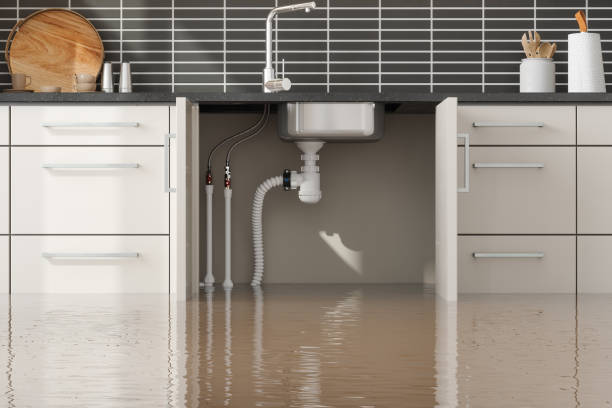 Best Sewage cleanup and water damage restoration  in Forest Heights, TX