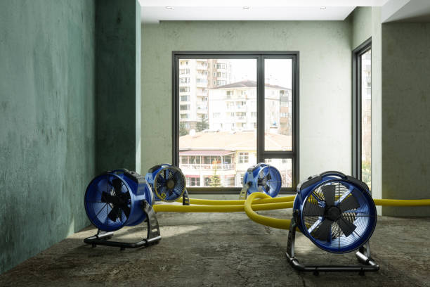 Best Sewage cleanup and water damage restoration  in Forest Heights, TX