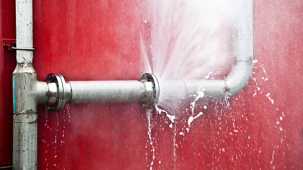 Best 24/7 water damage repair  in Forest Heights, TX